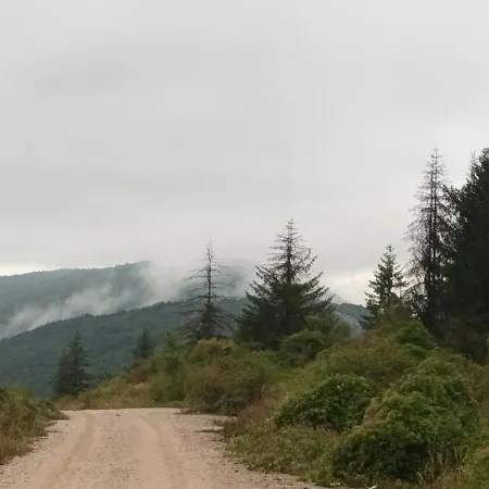 Apartman19 Apartman *